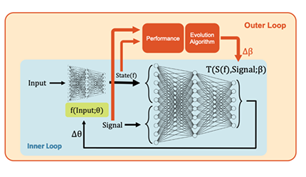 New Brain-Inspired Learning Framework: AI Can Learn Without Loss Functions or Backpropagation