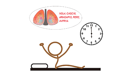 Scientists Map Cellular Atlas of the Human Master Circadian Clock